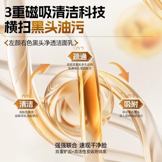 【单品】左颜右色 黑头净透洁面乳 110g 商品图2