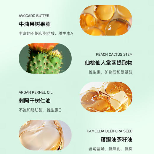 所望济州岛百年草护发素干枯毛躁头发持久留香蓬松丰盈护发乳 500ml/瓶 商品图4