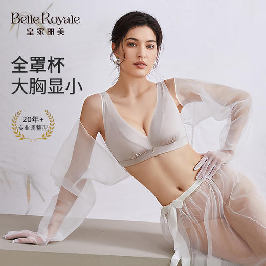 皇家丽美光面隐形全罩杯大胸显小薄杯WJ2508-1 商品图0