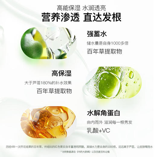 所望济州岛百年草洗发水男女士无硅油持久去油清爽蓬松洗发露 500ml/瓶 商品图4