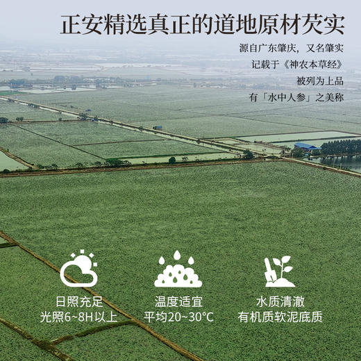 正安原材 道地肇庆红皮芡实 粒大饱满粉糯清香 优质原材 400g/罐【冷藏保存】 商品图5