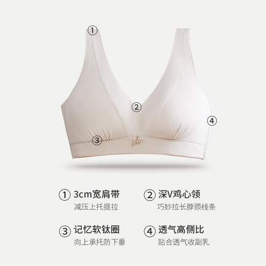 皇家丽美光面隐形全罩杯大胸显小薄杯WJ2508-1 商品图3