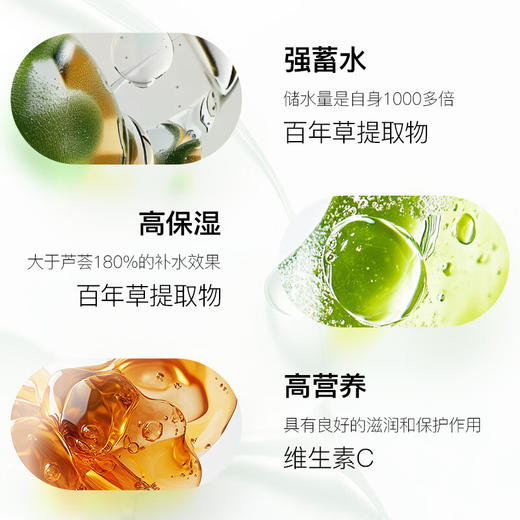 所望济州岛百年草护发素干枯毛躁头发持久留香蓬松丰盈护发乳 500ml/瓶 商品图2