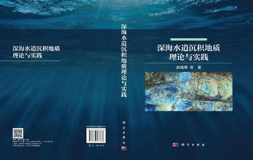 深海水道沉积地质理论与实践 商品图3