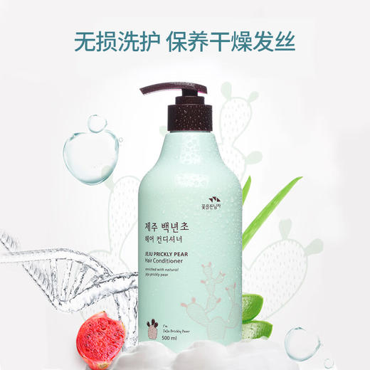 所望济州岛百年草护发素干枯毛躁头发持久留香蓬松丰盈护发乳 500ml/瓶 商品图5