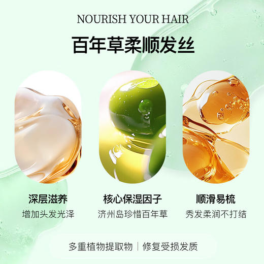 所望济州岛百年草护发素干枯毛躁头发持久留香蓬松丰盈护发乳 500ml/瓶 商品图3