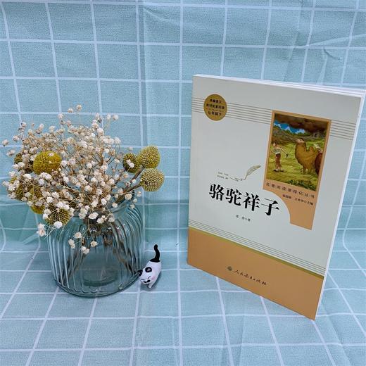 七年级下册课外名著阅读 正版保证 骆驼祥子 人教版 商品图1