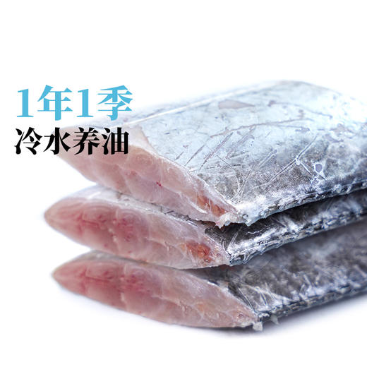 【带带相传】吕四油带切块380g300C 带鱼中的“爱马仕” 商品图5