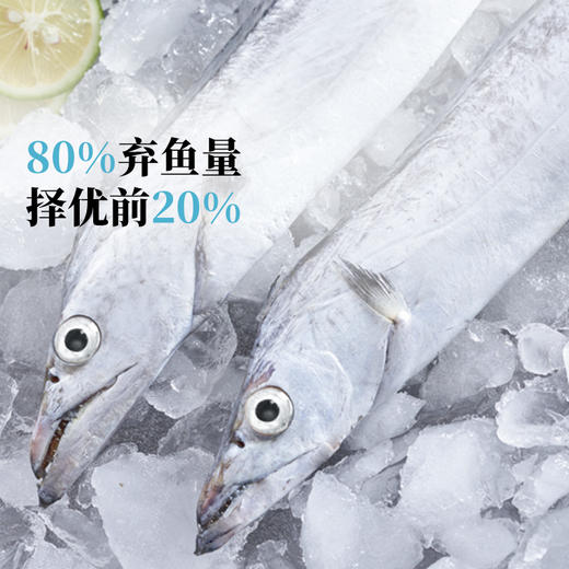 【带带相传】吕四油带切块380g300C 带鱼中的“爱马仕” 商品图4