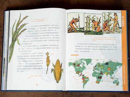 【百科界的金字招牌】《大英儿童百科：万物通史》| 精装大开本，权威专家编写，一口气讲述138亿年宇宙和人类文明史，7~16岁适读，让孩子真正开眼界涨见识 商品图8