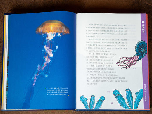 【百科界的金字招牌】《大英儿童百科：万物通史》| 精装大开本，权威专家编写，一口气讲述138亿年宇宙和人类文明史，7~16岁适读，让孩子真正开眼界涨见识 商品图7