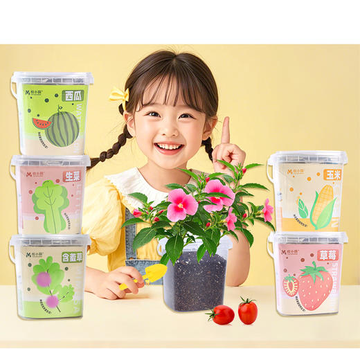 【科学种植❗植物生长观察盒】轻松种植好养活，让孩子感受生命的奇妙，提升动手能力，亲子互动，科学作业植物生长观察盒儿童种植迷你小盆栽幼儿园小学QQ 商品图4
