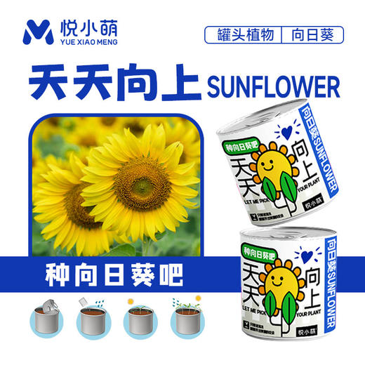 【2罐更划算❗绿植桌面罐头】网红办公室绿植桌面，易种易养活，体验植物生长乐趣，罐头植物幸运草向日葵种子儿童种植迷你小盆栽QQ 商品图10