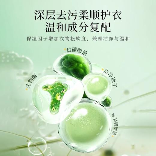 【19.9到手5斤❗桶装山茶花洗衣粉】山茶花精油加倍留香24h，深层去污柔顺护衣，温和成分复配，无磷·无铝·无荧光增白剂，持久留香强力去污实惠装家用深层洁净QQ 商品图1