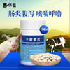 【积分兑换】华畜土霉素片兽药兽用猪龟鱼用水族鸡鸭鹅羊宠物猫狗用腹泻拉稀消炎药 商品缩略图0