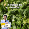 生态冻干香菜干 | 绿家自产*ecolaogical dry-cilantro | Self-production 商品缩略图0