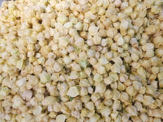 菇娘一斤 商品图0