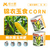 【2罐更划算❗绿植桌面罐头】网红办公室绿植桌面，易种易养活，体验植物生长乐趣，罐头植物幸运草向日葵种子儿童种植迷你小盆栽QQ 商品缩略图4
