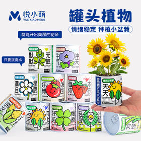 【2罐更划算❗绿植桌面罐头】网红办公室绿植桌面，易种易养活，体验植物生长乐趣，罐头植物幸运草向日葵种子儿童种植迷你小盆栽QQ