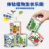 【2罐更划算❗绿植桌面罐头】网红办公室绿植桌面，易种易养活，体验植物生长乐趣，罐头植物幸运草向日葵种子儿童种植迷你小盆栽QQ 商品缩略图1