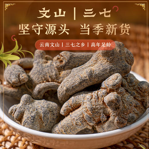 【云南文山三七干货】真材实料 整根发货 根根手工挑选 无硫熏制 品质保证 100g/瓶（40头） 商品图3