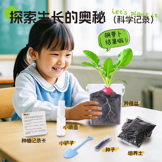 【老师推荐❗儿童种植迷你小盆栽】激发孩子的探索欲，一桶种出快乐，透明桶根茎生长全跟踪，幼儿园小学生瓜果蔬菜花卉草籽植物生长观察盒QQ 商品图1