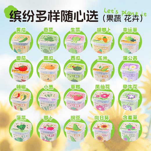 【科学种植❗植物生长观察盒】轻松种植好养活，让孩子感受生命的奇妙，提升动手能力，亲子互动，科学作业植物生长观察盒儿童种植迷你小盆栽幼儿园小学QQ 商品图3