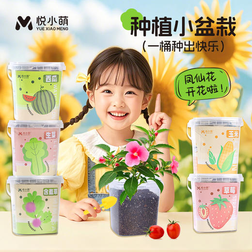 【科学种植❗植物生长观察盒】轻松种植好养活，让孩子感受生命的奇妙，提升动手能力，亲子互动，科学作业植物生长观察盒儿童种植迷你小盆栽幼儿园小学QQ 商品图0