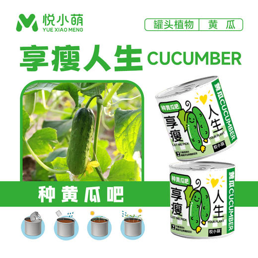 【2罐更划算❗绿植桌面罐头】网红办公室绿植桌面，易种易养活，体验植物生长乐趣，罐头植物幸运草向日葵种子儿童种植迷你小盆栽QQ 商品图5