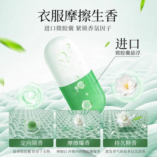 【19.9到手5斤❗桶装山茶花洗衣粉】山茶花精油加倍留香24h，深层去污柔顺护衣，温和成分复配，无磷·无铝·无荧光增白剂，持久留香强力去污实惠装家用深层洁净QQ 商品图2