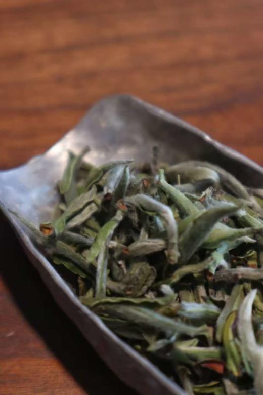 茶样套组 2025年福鼎白茶 芳野 芳雅 银针/牡丹/寿眉 各一泡 荒野白茶 古法炭焙 商品图2