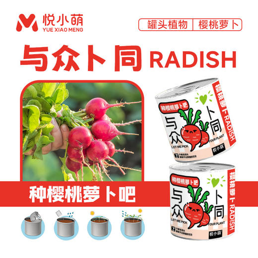 【2罐更划算❗绿植桌面罐头】网红办公室绿植桌面，易种易养活，体验植物生长乐趣，罐头植物幸运草向日葵种子儿童种植迷你小盆栽QQ 商品图6