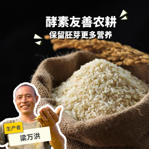 生态酵素稻米（糙米、胚芽米）（籼米） | 合作生产* Ecological rice (germ rice, brown rice) | Coproduction 商品图0