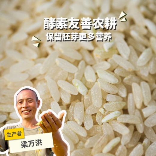 生态酵素稻米（糙米、胚芽米）试吃装（籼米） | 合作生产* Ecological rice (germ rice, brown rice) | Coproduction 商品图0