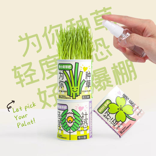 【2罐更划算❗绿植桌面罐头】网红办公室绿植桌面，易种易养活，体验植物生长乐趣，罐头植物幸运草向日葵种子儿童种植迷你小盆栽QQ 商品图2