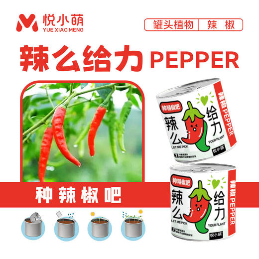 【2罐更划算❗绿植桌面罐头】网红办公室绿植桌面，易种易养活，体验植物生长乐趣，罐头植物幸运草向日葵种子儿童种植迷你小盆栽QQ 商品图8