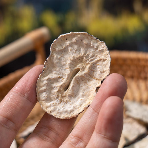 【云南玛卡干片】人工筛选 产地选材 不熏不染 切片均匀 片片完整 吃法多样 100g/瓶 商品图3