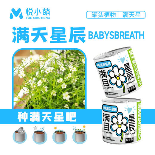 【2罐更划算❗绿植桌面罐头】网红办公室绿植桌面，易种易养活，体验植物生长乐趣，罐头植物幸运草向日葵种子儿童种植迷你小盆栽QQ 商品图12