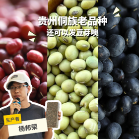 生态青皮黄豆/黑豆/红豆（适合发芽） | 合作生产*Ecological bean | Partner Production