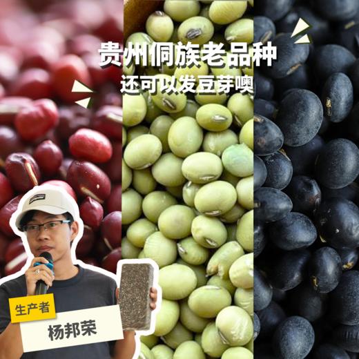 生态青皮黄豆/黑豆/红豆（适合发芽） | 合作生产*Ecological bean | Partner Production 商品图0
