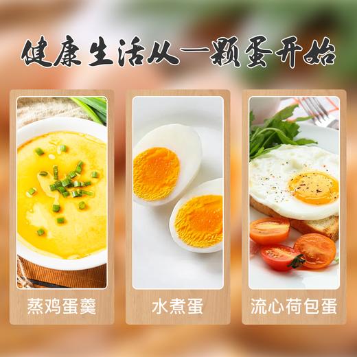 阿林甄选山林散养新鲜土鸡蛋50枚 商品图4