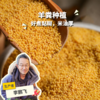 生态红谷子小米 | 合作生产 * Ecological millet | Coproduction 商品缩略图0