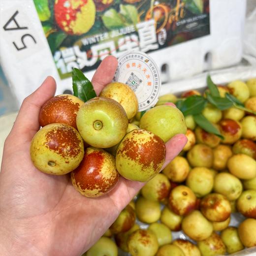 牛奶冬枣 又脆又甜 商品图6