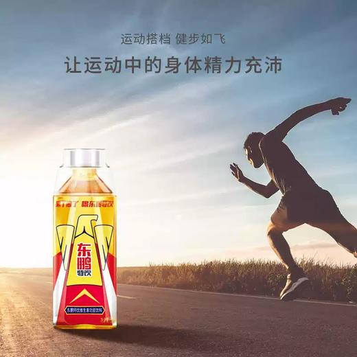 东鹏特饮维生素功能饮料500ml/瓶（A5-01-03） 商品图4