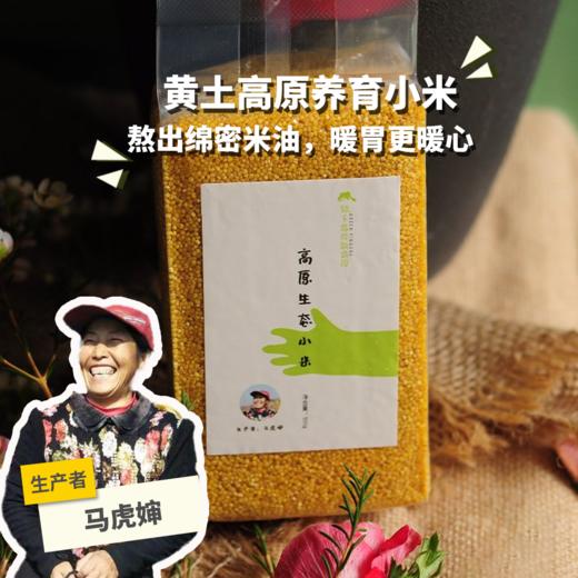 高原生态小米 | 合作生产 * Plateau eco- millet | Coproduction 商品图0