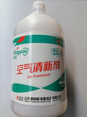 【TXD】衡跃 空气清新剂 3.8L/桶