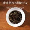 潮州凤凰单丛春茶大乌叶浓香型 商品缩略图3