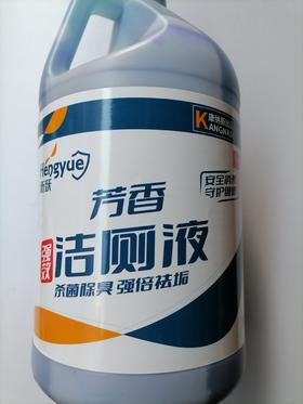 【TXD】衡跃 芳香强力洁厕液 3.8L/桶