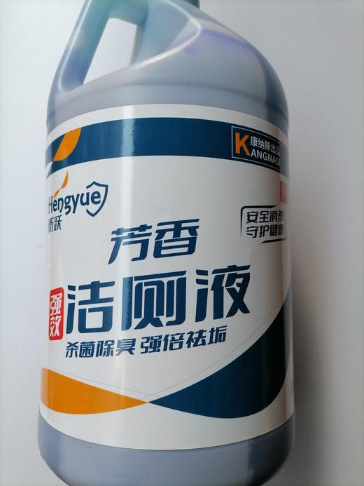 【TXD】衡跃 芳香强力洁厕液 3.8L/桶 商品图0