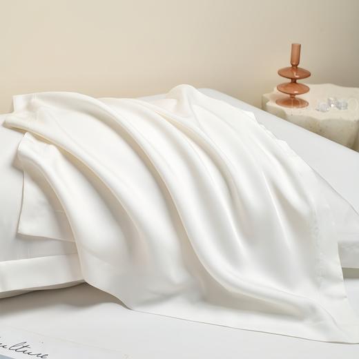 「DANMO天丝轻奢枕套」手感丝滑如丝 柔软恰到好处 柔软爽滑亲肤舒适 吸湿透汽无异物感 商品图1